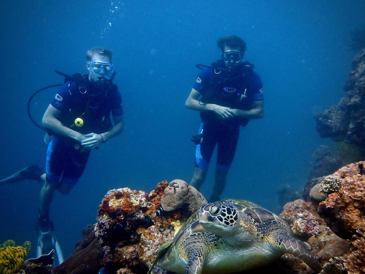 Alegria Dive Resort Zewnętrze zdjęcie