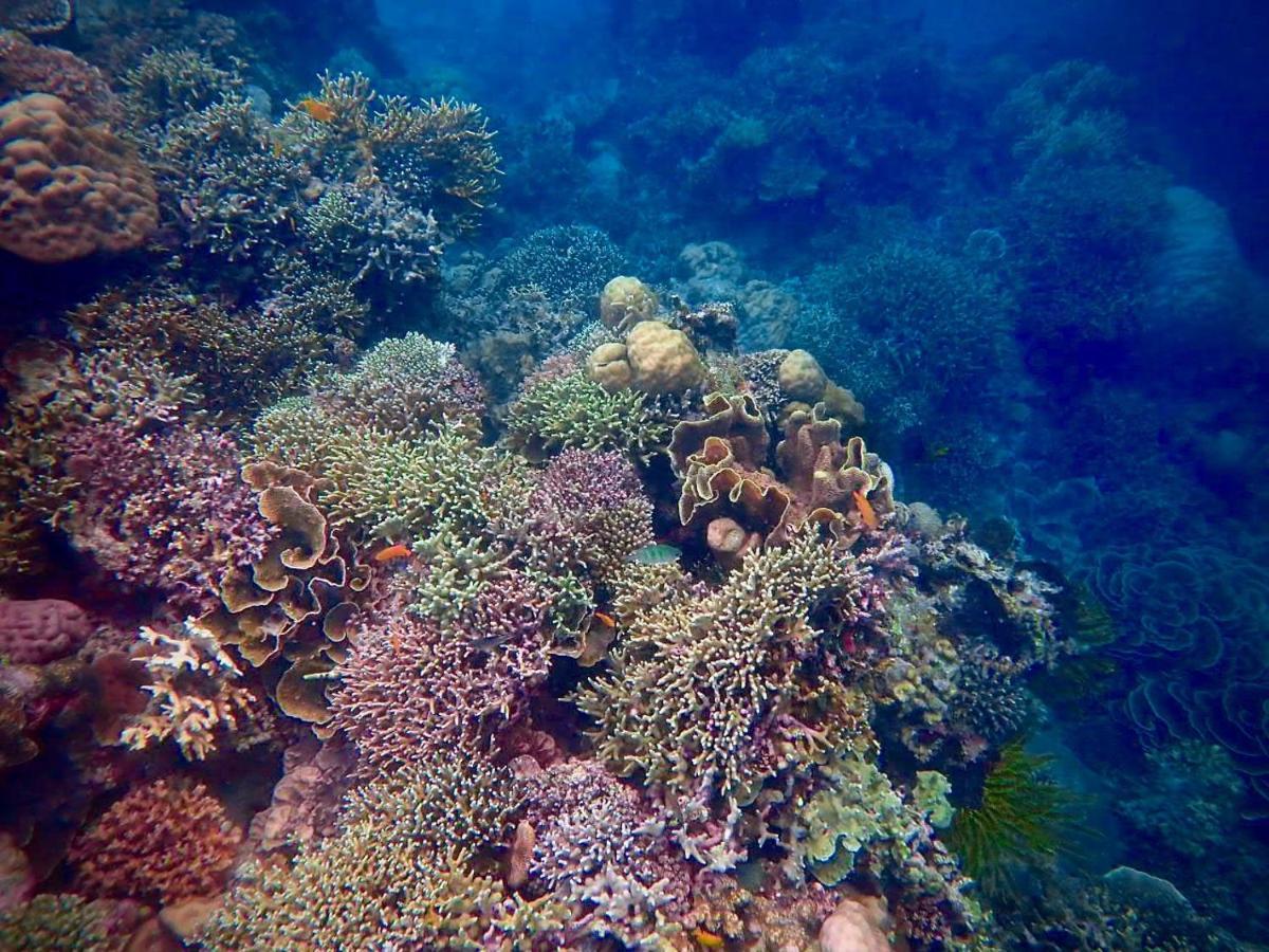 Alegria Dive Resort Zewnętrze zdjęcie